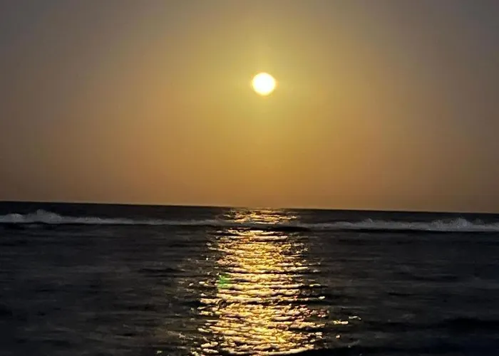 Shams El Bahr فيلة