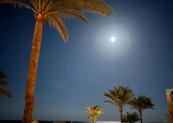 فيلة Shams El Bahr
