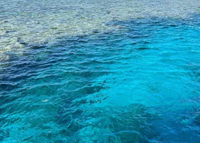 Shams El Bahr *